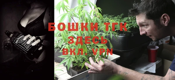 дмт Верея